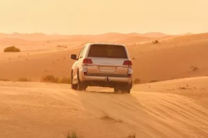 auto1-1.jpg